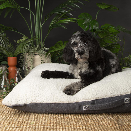 Visuel 3 du produit Scruffs Couchage Chien Coussin Eco Eden Gris - Taille M 80 x 60 cm