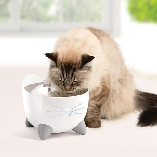 Visuel 4 du produit Fontaine à eau Chat – Catit Pixi Smart Wifi coloris blanc – 2 litres
