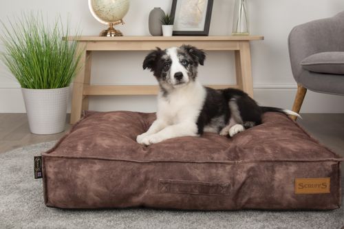 Visuel 3 du produit Couchage Chien – Scruffs Coussin Kensington Marron – Taille L