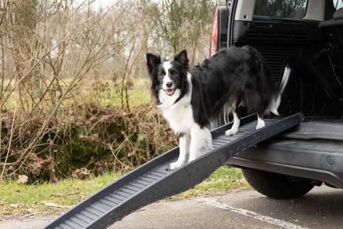 Visuel 5 du produit Flamingo Rampe pliable Chien Noire - 150 x 39,5 x 13 cm