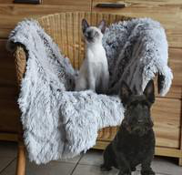 Visuel 2 du produit Couchage - Bobby Plaid poilu Gris - 100 x 70 cm