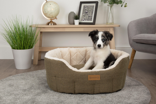 Visuel 4 du produit Couchage - Scruffs Corbeille ovale Woodlands Taille M Vert - Ø 65 cm