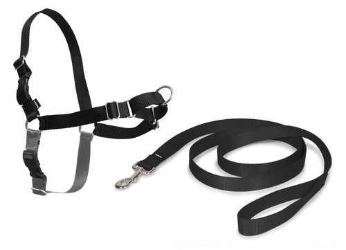 Visuel 1 du produit Harnais Chien – Petsafe Easy Walk noir – M