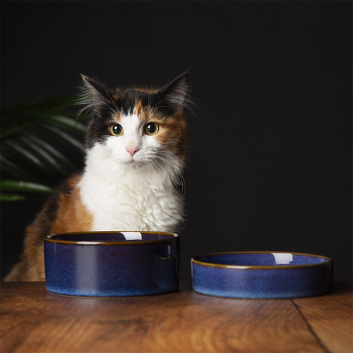 Visuel 2 du produit Scruffs Gamelle Chat Céramique Bleu nuit - 13 x 13 x 3 cm