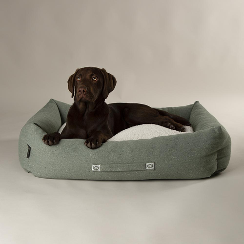 Visuel 3 du produit Scruffs Couchage Chien Corbeille Eco Eden Vert - Taille L 75 x 60 cm