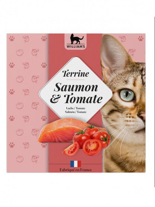 Visuel 1 du produit William’s Terrine chat Saumon et tomate - 80 gr