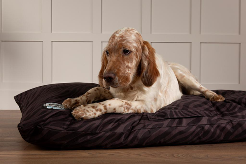 Visuel 7 du produit Couchage Chien – Scruffs Coussin Expédition Noir – Taille L