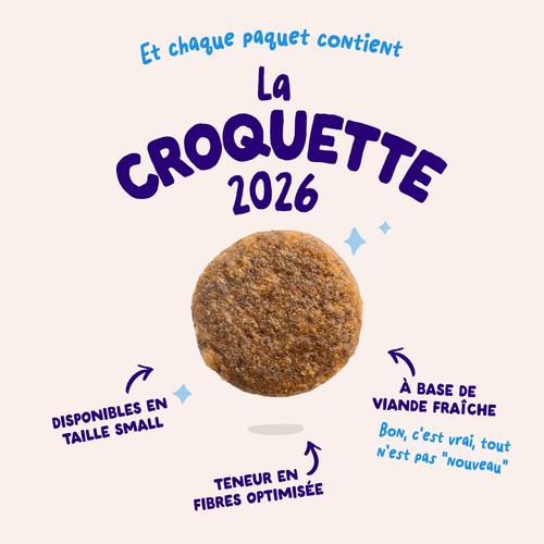 Visuel 3 du produit Edgard & Cooper Croquettes Chien Adulte Saumon Sans Céréales - 12 kg