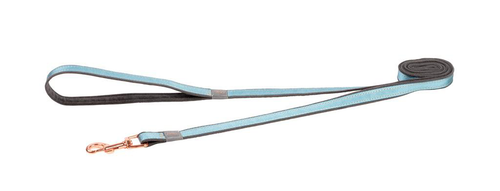 Visuel 1 du produit Laisse Chien - Rogz Moon Turquoise Gris et Rose - 2,0 x 180 cm