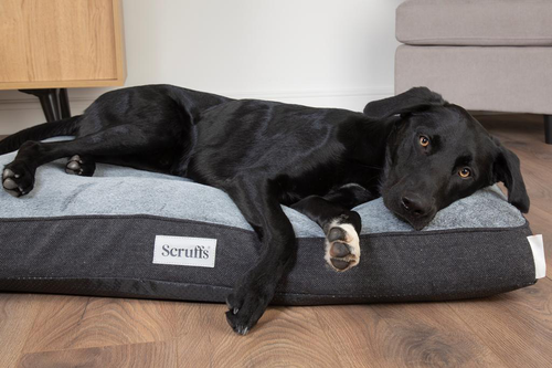 Visuel 7 du produit Scruffs Couchage Chien Coussin Orthopédique Harvard Gris - Taille L 100 x 70 x 12 cm