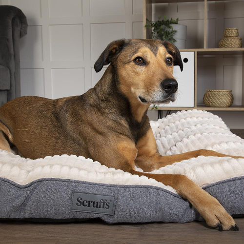 Visuel 3 du produit Scruffs Couchage Chien Coussin Ellen Gris - Taille M 82 x 58 cm