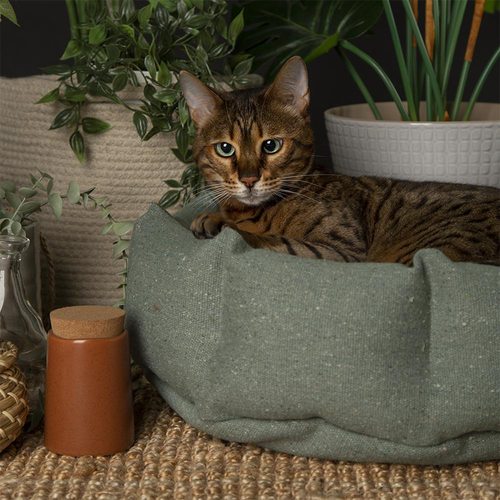 Visuel 8 du produit Scruffs Couchage Chat Corbeille Eco Eden Vert - Ø 45 cm