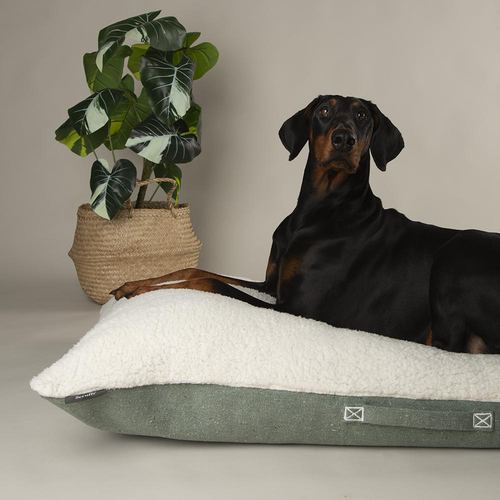 Visuel 4 du produit Scruffs Couchage Chien Coussin Eco Eden Vert - Taille L 100 x 70 cm