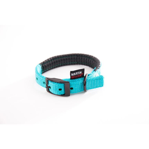 Visuel 1 du produit Collier droit Confort pour chien coloris turquoise - 1,6x35 cm