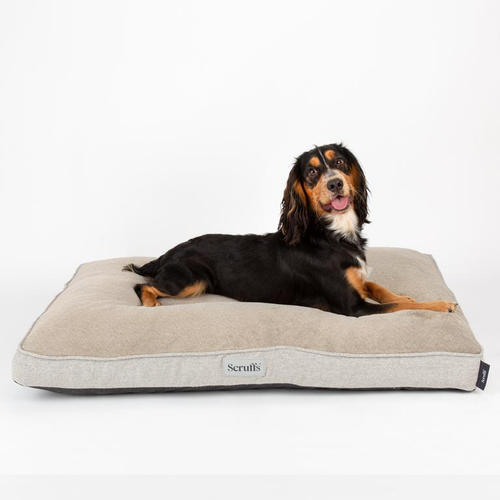 Visuel 3 du produit Scruffs Couchage Chien Coussin Orthopédique Harvard Marron - Taille L 100 x 70 x 12 cm