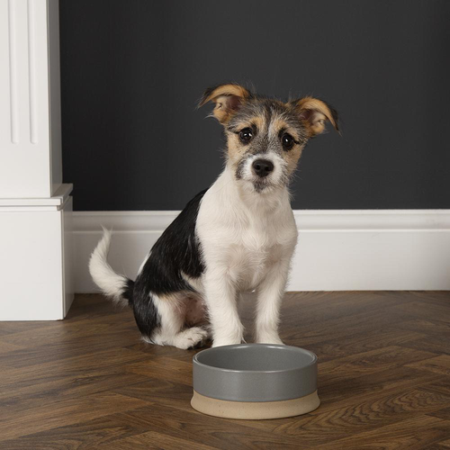 Visuel 2 du produit Gamelle Chien – Scruffs Scandi gris – Ø 16 x 5 cm