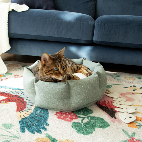 Visuel 10 du produit Scruffs Couchage Chat Corbeille Eco Eden Vert - Ø 45 cm