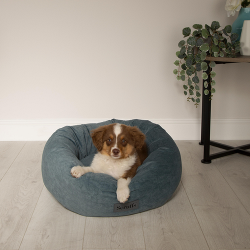 Visuel 6 du produit Couchage Chien - Scruffs Donut Oslo Taille XXL Vert - Ø 85 cm