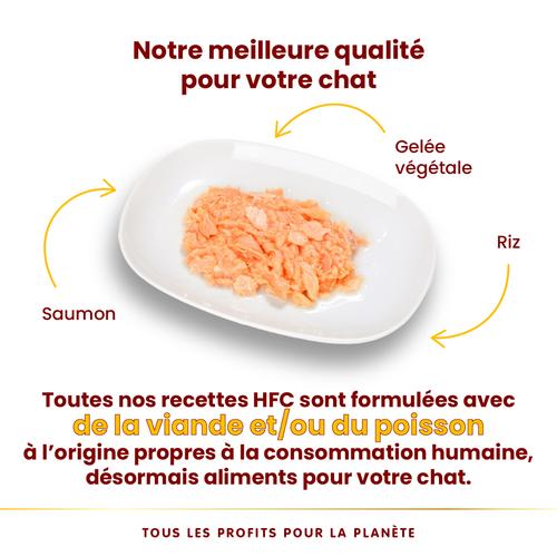 Visuel 3 du produit Boîte Chat – Almo Nature HFC Jelly Saumon 70 gr