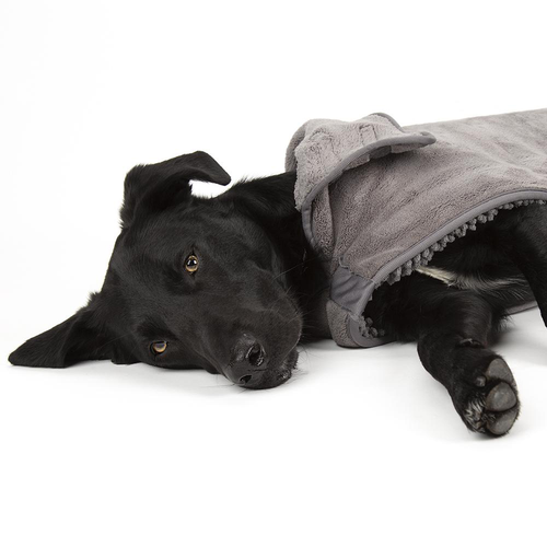 Visuel 4 du produit Scruffs Manteau Chien Ultra Absorbant Noodle Gris - Taille L