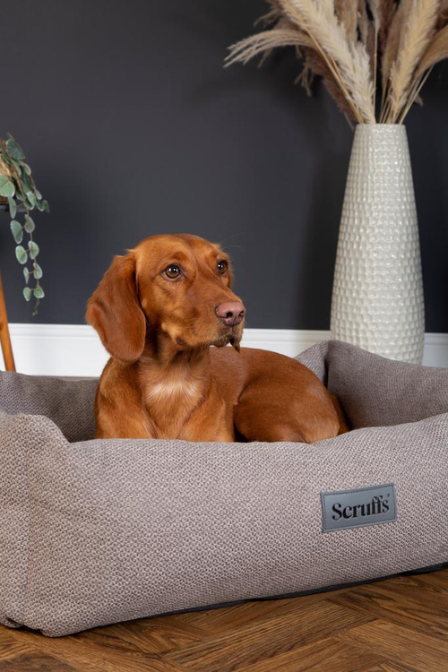Visuel 6 du produit Scruffs Couchage Chien Corbeille Seattle Gris - Taille M 60 x 50 x 16 cm