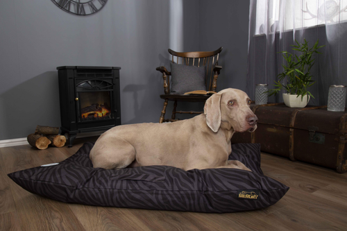 Visuel 5 du produit Couchage Chien – Scruffs Coussin Expédition Noir – Taille XXL