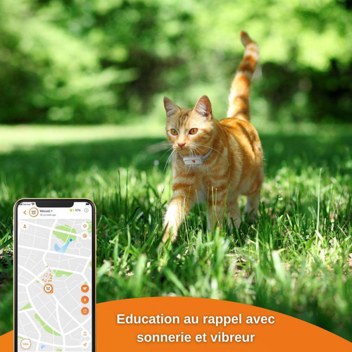 Visuel 6 du produit Sécurité Chat - Weenect GPS blanc XS – 60 X 23 X 12 mm