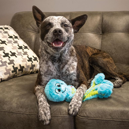 Visuel 5 du produit Kong Jouet Chien Peluche Wubba Octopus - Taille L (Livré aléatoirement parmi 3 coloris)
