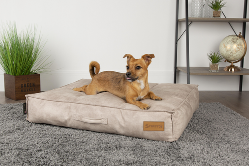Visuel 2 du produit Couchage Chien – Scruffs Coussin Kensington Beige – Taille L