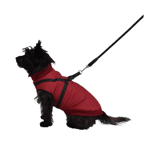 Visuel 2 du produit Textile Chien – Bobby Manteau Easy Noir – Taille 36M