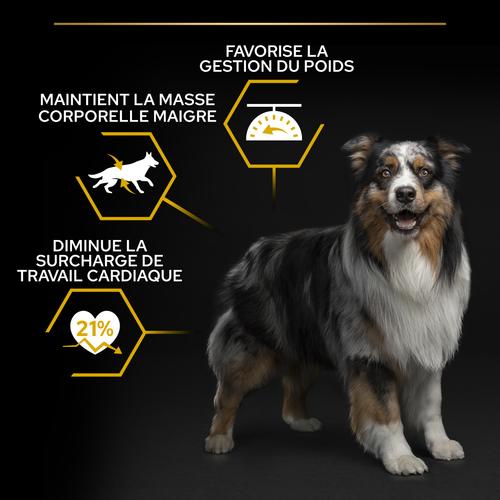 Visuel 6 du produit Croquettes Chien Stérilisé - ProPlan All Dogs Size Light - 14 + 2,5 kg offerts