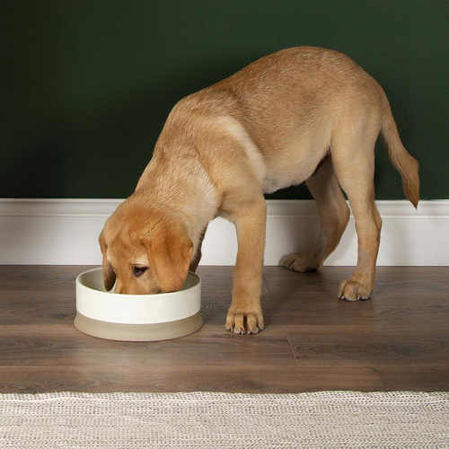 Visuel 4 du produit Gamelle Chien – Scruffs Scandi beige clair – Ø 20 x 7 cm