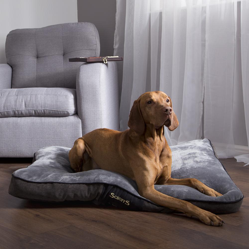 Visuel 3 du produit Couchage Chien – Scruffs Coussin Chester Gris – Taille L