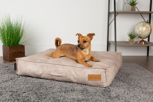 Visuel 4 du produit Couchage Chien – Scruffs Coussin Kensington Beige – Taille L