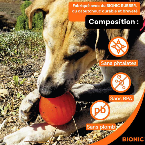 Visuel 5 du produit Bionic Jouet Chien Balle Orange S - Ø 6 cm