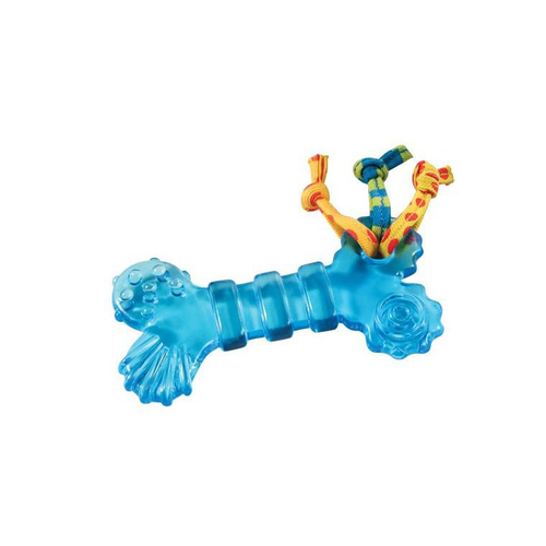 Visuel 3 du produit Jouet Chien - Petstages Mini Orka bone bleu