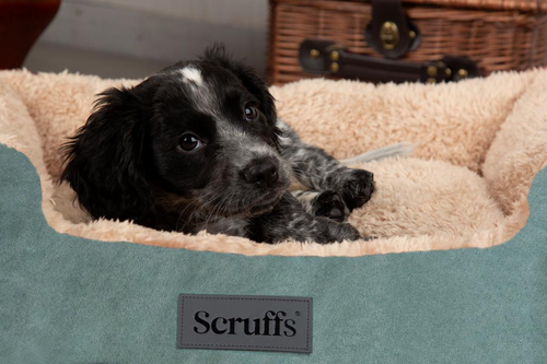 Visuel 4 du produit Couchage - Scruffs Corbeille Cosy Taille M Vert - 60 x 50 cm