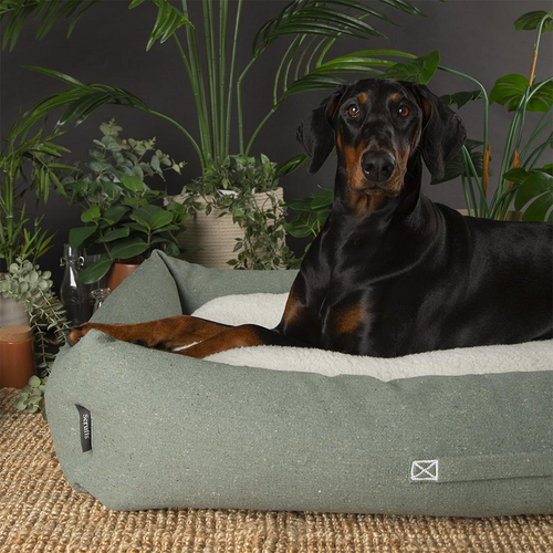 Visuel 4 du produit Scruffs Couchage Chien Corbeille Eco Eden Vert - Taille XL 90 x 70 cm