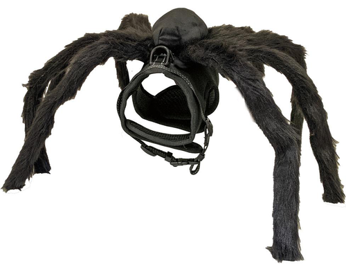 Visuel 1 du produit Harnais Chien - Croci Halloween Spider Noir Taille L - 46/53 cm