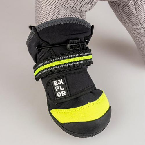 Visuel 5 du produit Textile Chien - Duvoplus 4 Chaussons Gear Noir - Taille S