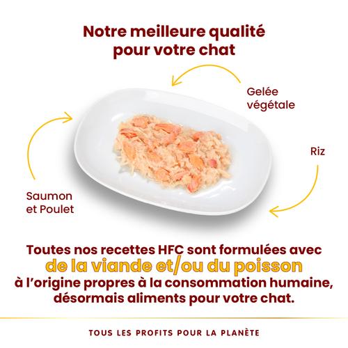 Visuel 3 du produit Boîte Chat – Almo Nature HFC Jelly Saumon et Poulet 70 gr