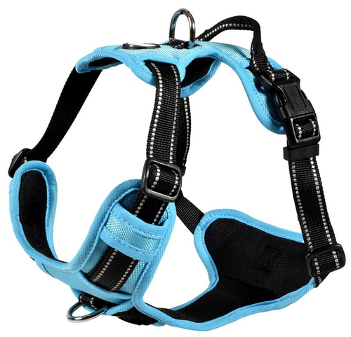 Visuel 1 du produit Harnais Chien - Bobby Rando Walk Bleu - L
