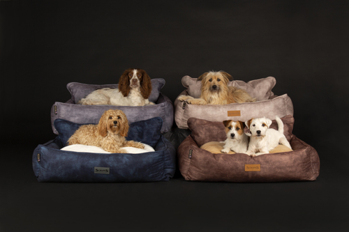 Visuel 4 du produit Couchage Chien – Scruffs Corbeille Kensington Gris – Taille XL