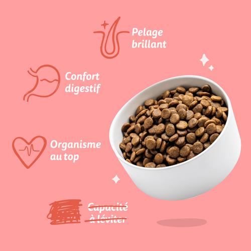 Visuel 7 du produit Edgard & Cooper Croquettes Chien Senior Poulet Saumon Sans Céréales - 2,5 kg