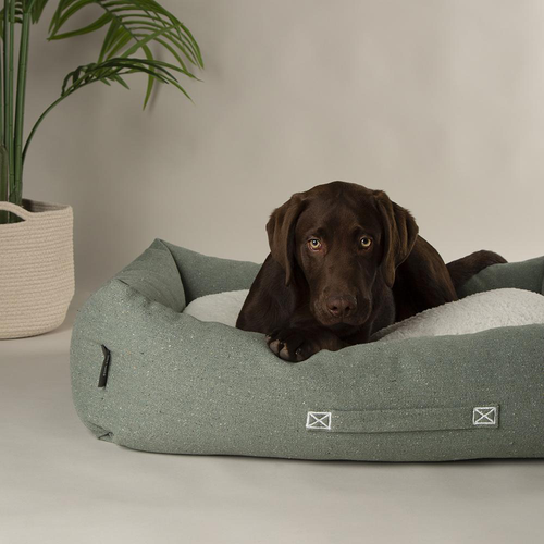 Visuel 4 du produit Scruffs Couchage Chien Corbeille Eco Eden Vert - Taille L 75 x 60 cm