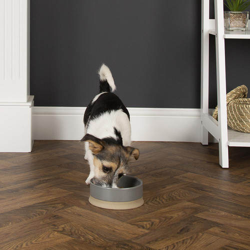 Visuel 3 du produit Gamelle Chien – Scruffs Scandi gris – Ø 16 x 5 cm