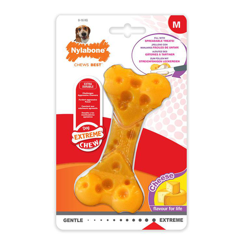 Visuel 1 du produit Jouet Chien – Nylabone Os fromage – M