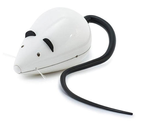 Visuel 1 du produit Jouet chat FroliCat RoloRat – PetSafe