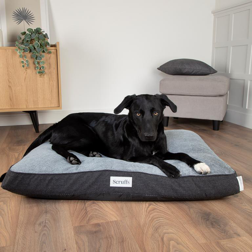 Visuel 9 du produit Scruffs Couchage Chien Coussin Orthopédique Harvard Gris - Taille L 100 x 70 x 12 cm