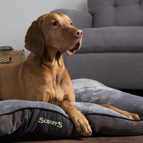 Visuel 4 du produit Couchage Chien – Scruffs Coussin Chester Gris – Taille L